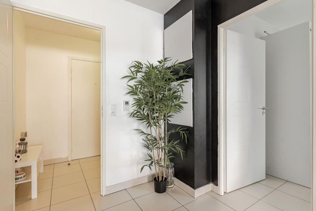 מונפלייה Appartement Cosy Et Chic מראה חיצוני תמונה